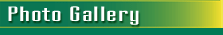 galerie